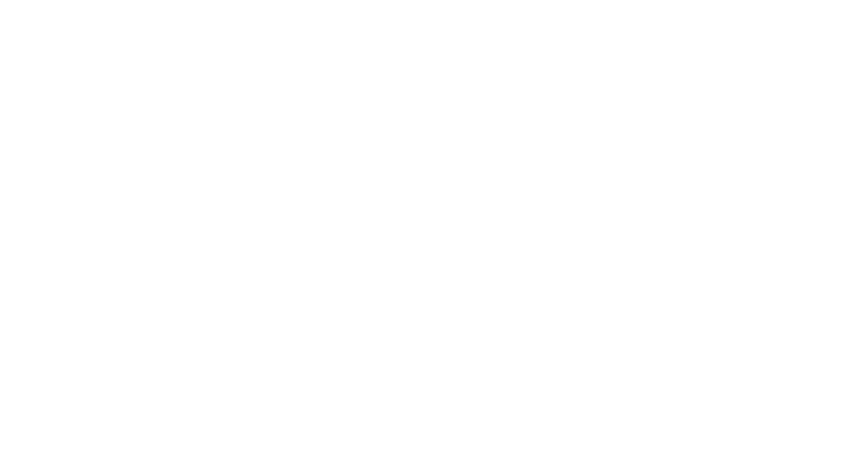 adfox marketing digital